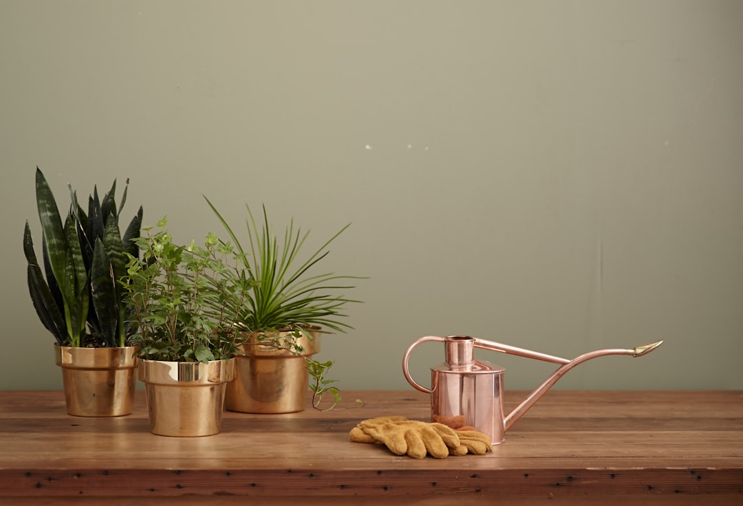 Luxury vs. Affordable Home Decor Products: Finding the Perfect Balance